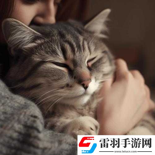 貓咪社交