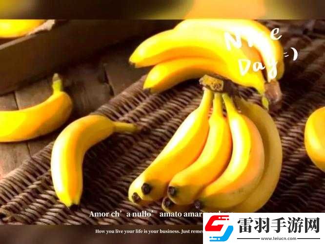 香蕉草莓榴蓮黃瓜綠巨