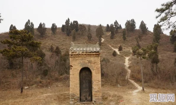 王者榮耀最暴力荊軻銘文搭配攻略一刀一個(gè)小朋友殺你沒(méi)商量！