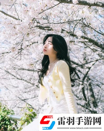 成品站1.1.719效率直接拉滿