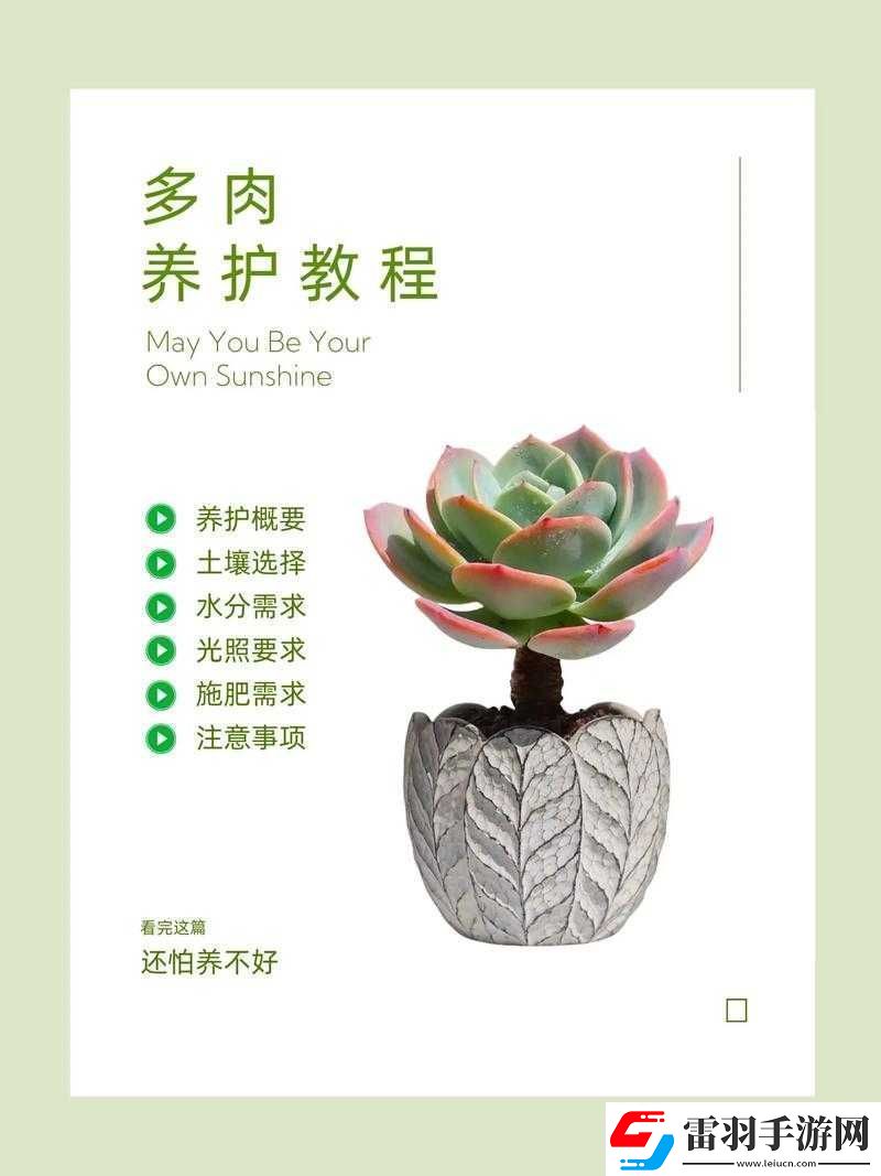 皇家共享小公主多肉怎么養(yǎng)