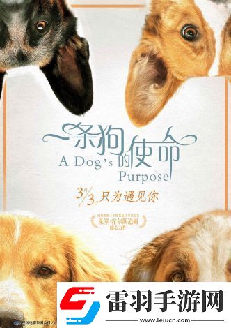 狗狗特工隊(duì)