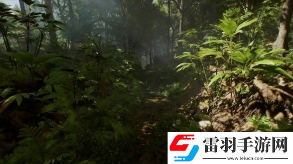 奪寶奇兵