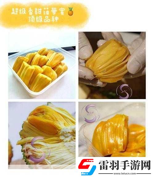 亞精產(chǎn)品一三三菠蘿蜜