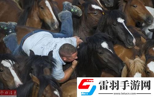 科技界“人馬共性”奇觀