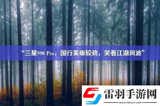 “三星990Pro國行美版較勁笑看江湖風波”