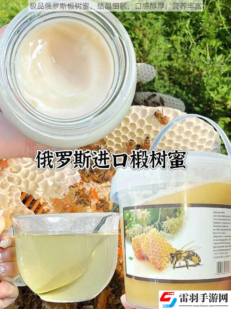 極品俄羅斯椴樹蜜