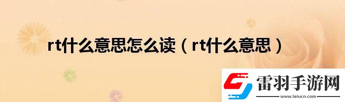 RT中文啥意思
