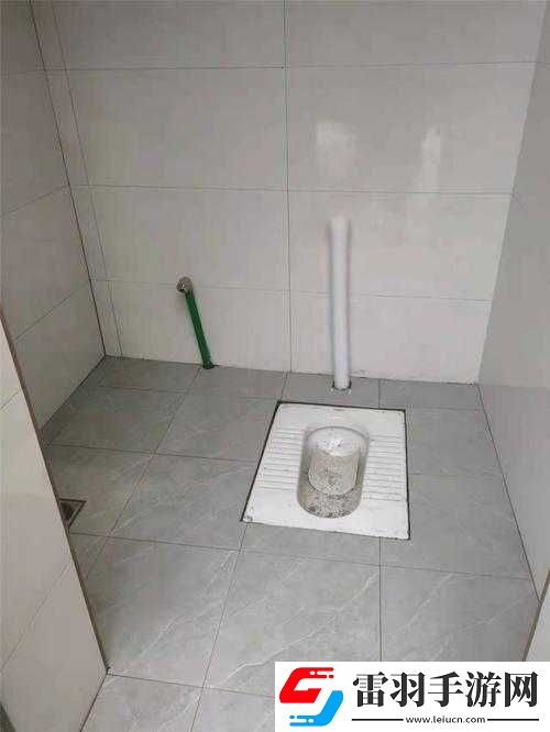 國內溝廁**在線觀看