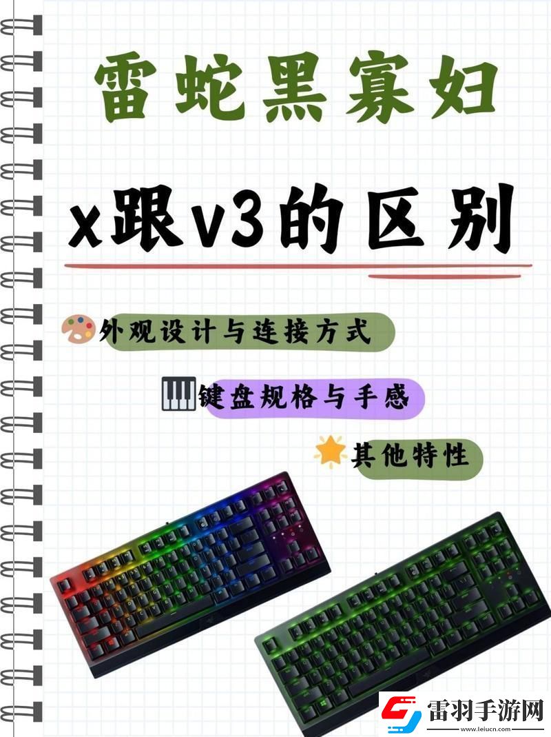 鍵盤江湖黑寡婦X與V3的恩怨情仇