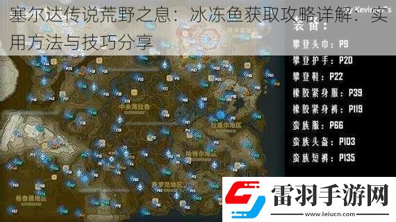 塞爾達(dá)傳說(shuō)荒野之息