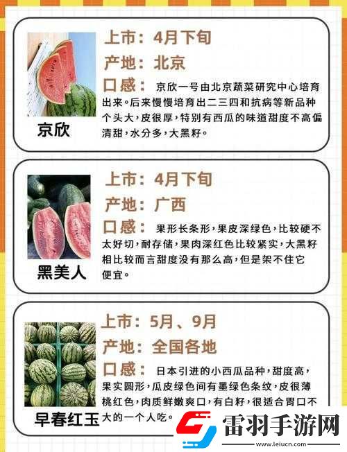 最強(qiáng)吃瓜指南