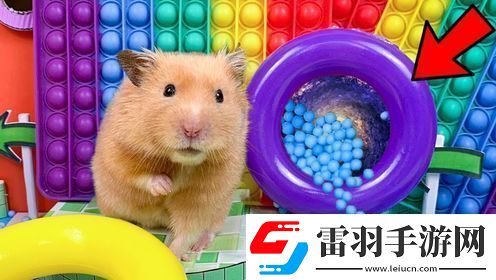小倉(cāng)鼠勇闖恐怖醫(yī)院迷宮