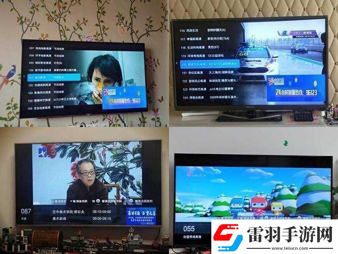 有線高清電視線sywv7