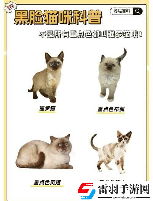 色**