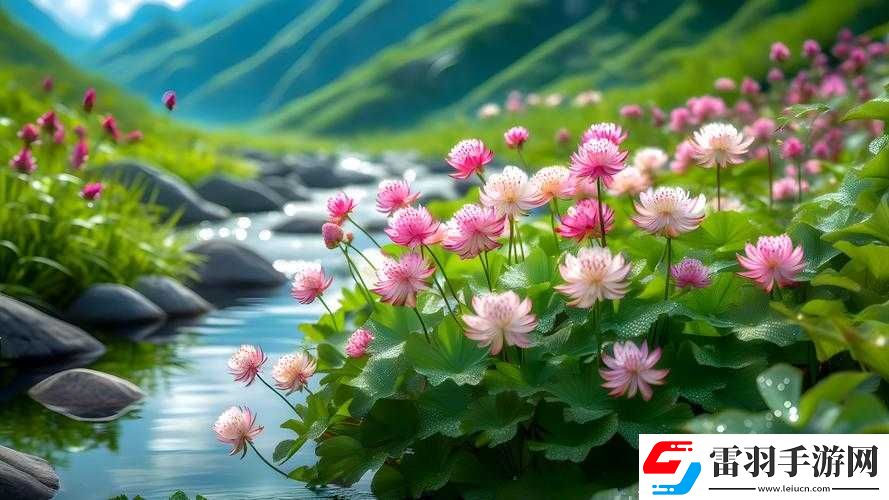 野花韓國視頻在線觀看免費高清