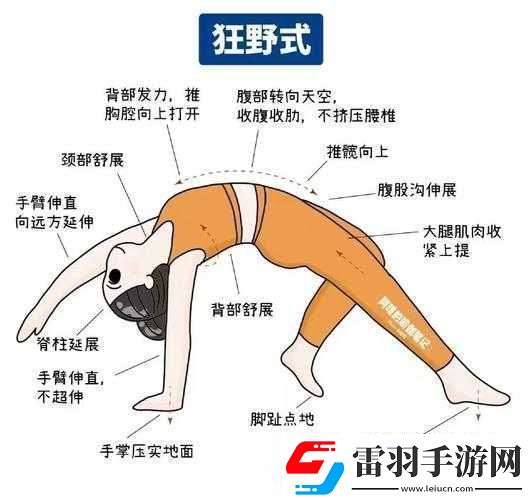 狂野式進(jìn)入方法大盤點(diǎn)