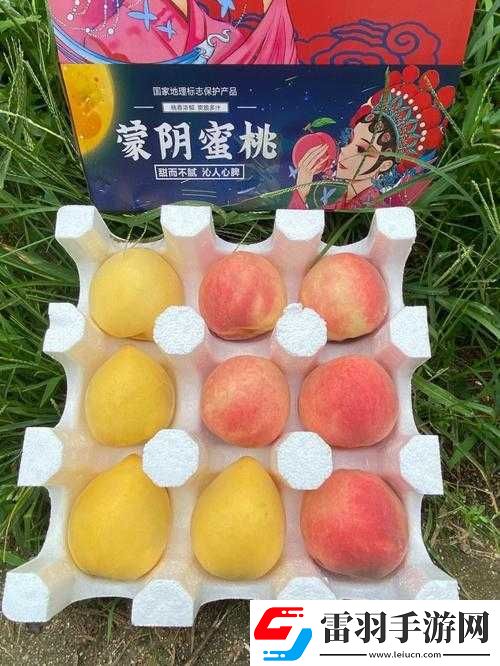 無人一區(qū)二區(qū)區(qū)別紅桃內(nèi)幕揭秘