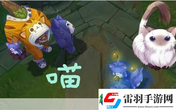 喵星人密室大冒險
