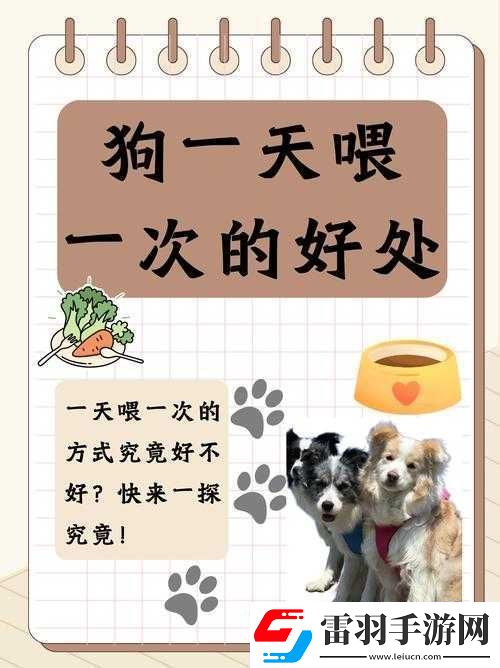 人狗膠配方大全狗狗一天