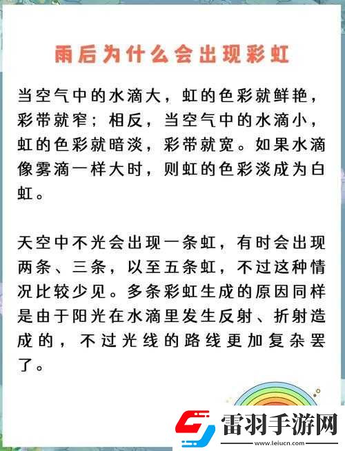雨后的小故事