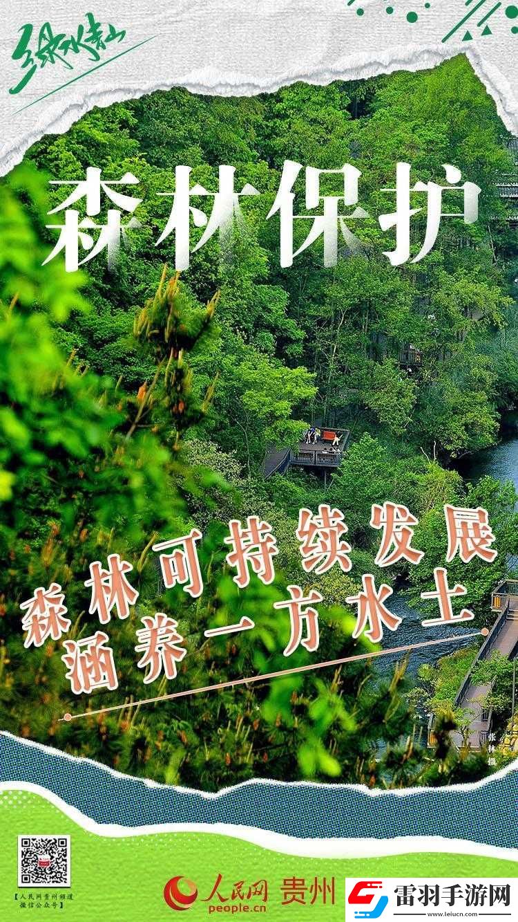 中國老年森林交易市場