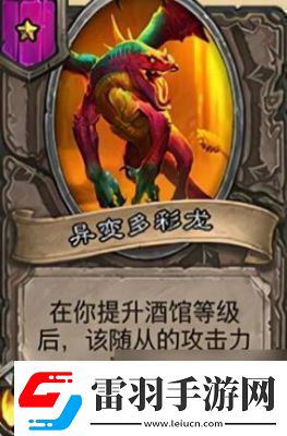 爐石傳說銀色侍從卡牌圖鑒全覽
