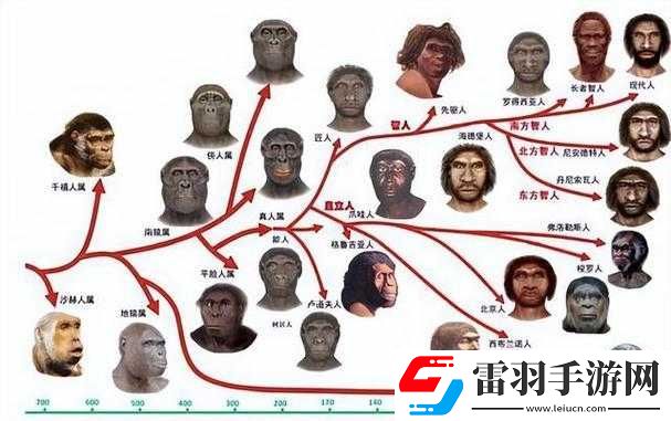 探索人馬畜禽人