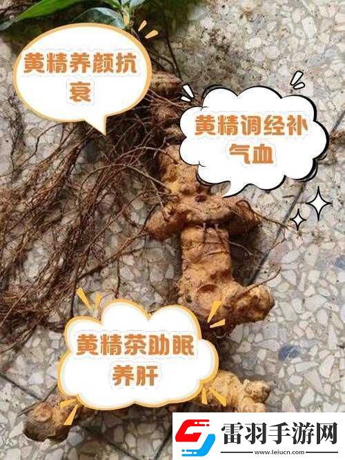 女人的**有什么作用