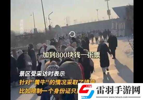 哈爾濱冰雪大世界開園3日遭吐槽排隊(duì)9小時(shí)黃牛加價(jià)800元走免排
