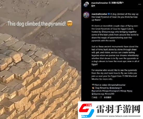 游你扯淡