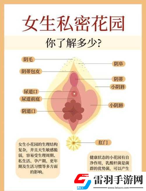 女人扒開腿秘