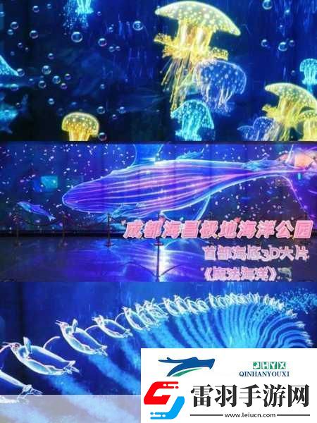 筏生存水肺潛水3D