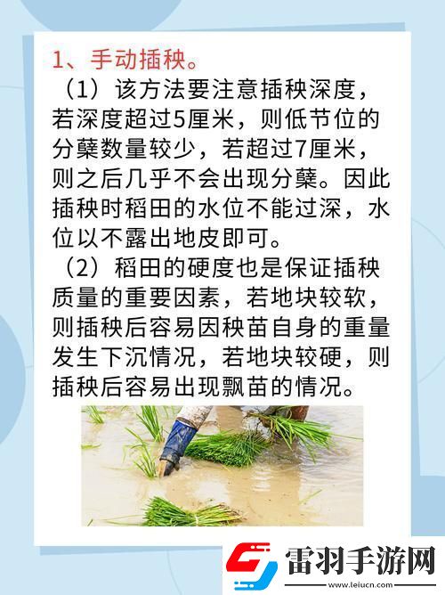 夫妻插秧38種方法大全
