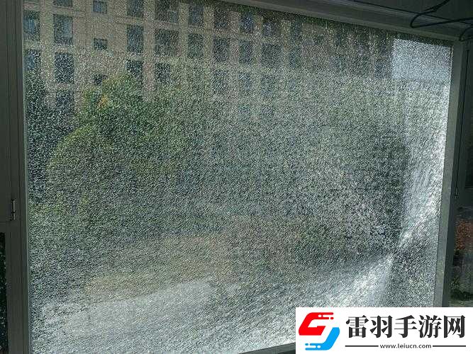 讓人痛心的悲劇