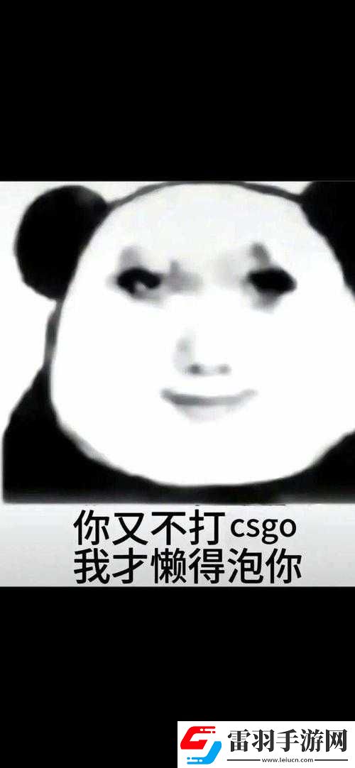 暴躁老姐分享