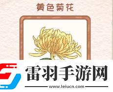 花店物語黃色菊花圖鑒資料