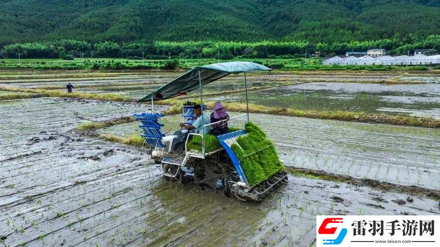 夫妻間