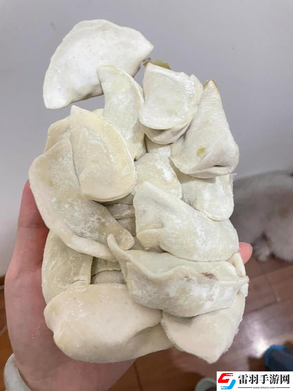 科技界的“廚神”挑戰(zhàn)