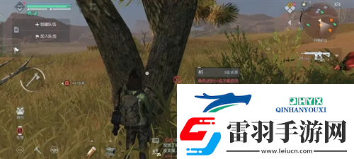 黎明覺醒杜松木怎么獲取