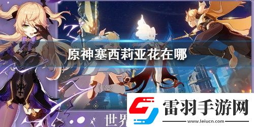 原神塞西莉亞花在哪里