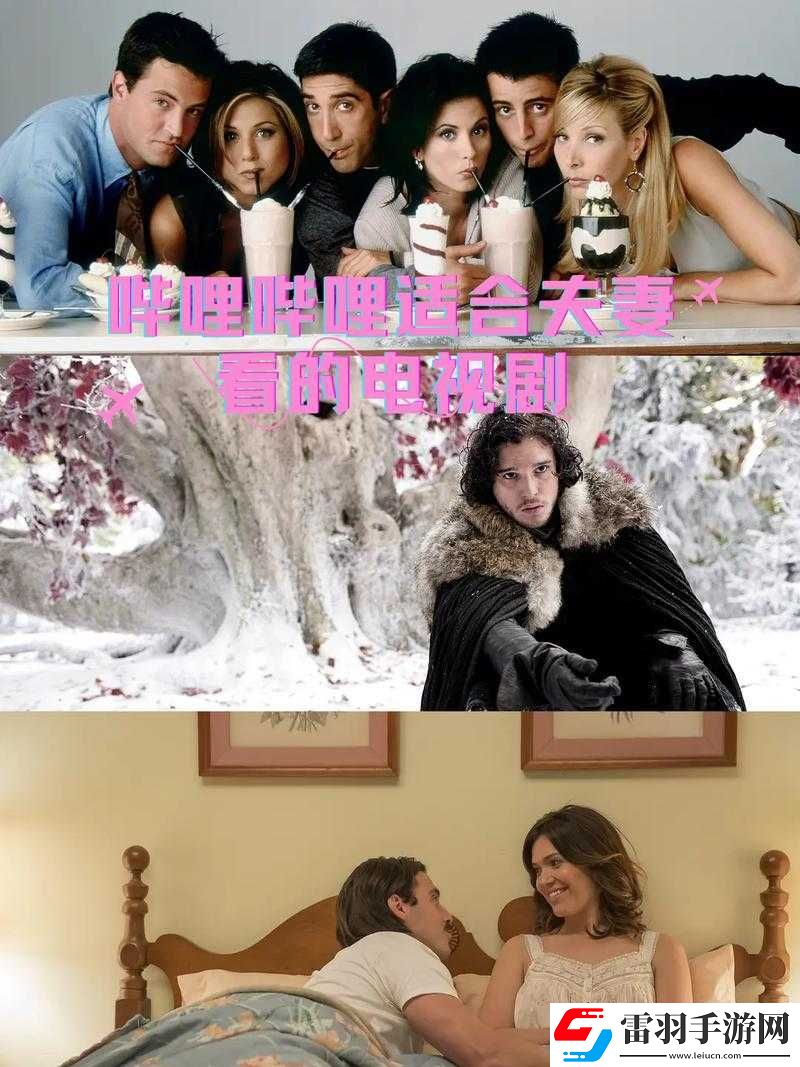 適合夫妻一起看的嗶哩嗶哩電視劇