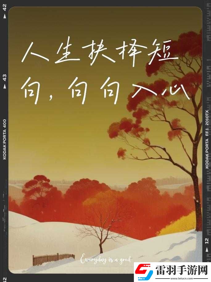 被夾在中間的磨心