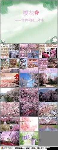 櫻花成品