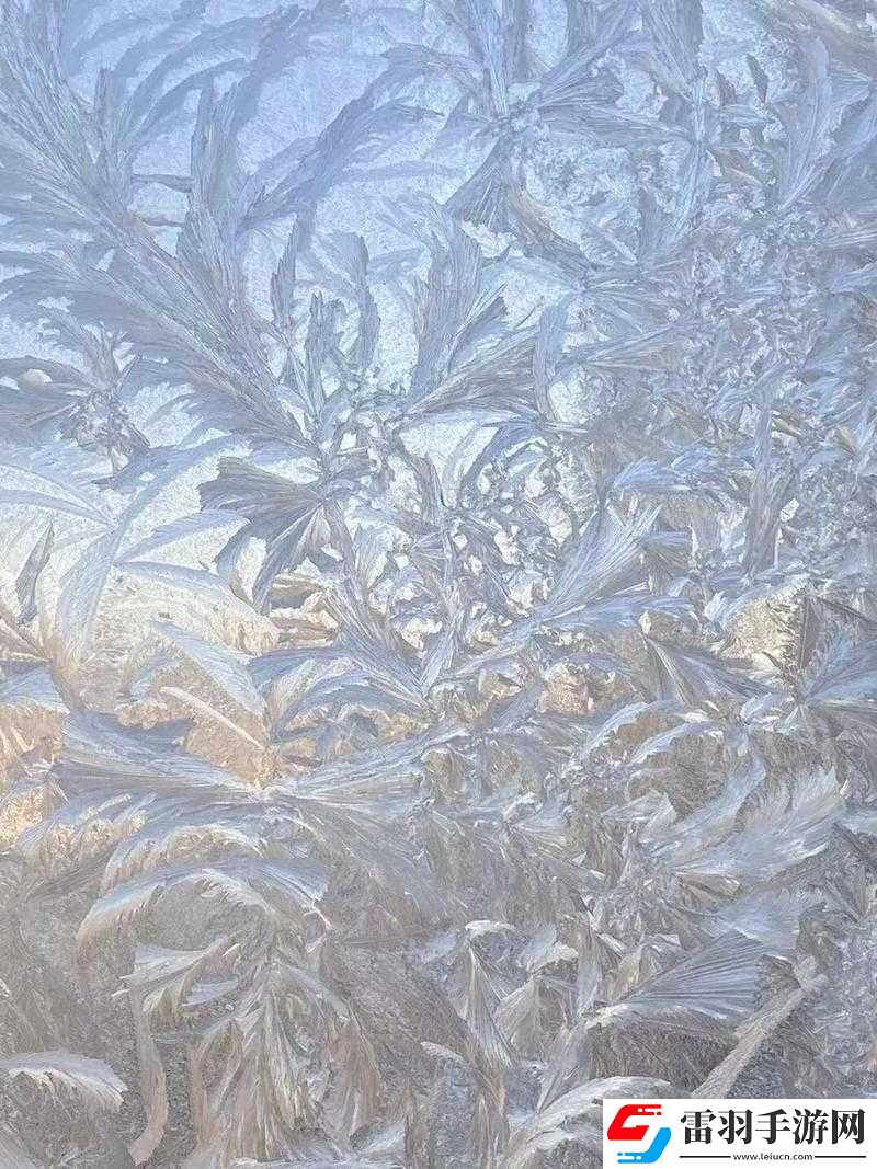 趴在玻璃窗做給別人看的獨(dú)特視角視頻呈現(xiàn)