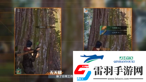 黎明覺醒采集怎么沒有經(jīng)驗(yàn)了