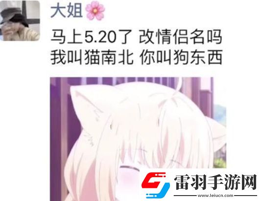 貓南北狗東西是什么梗絡用語貓南北狗東西梗意思及出處分享
